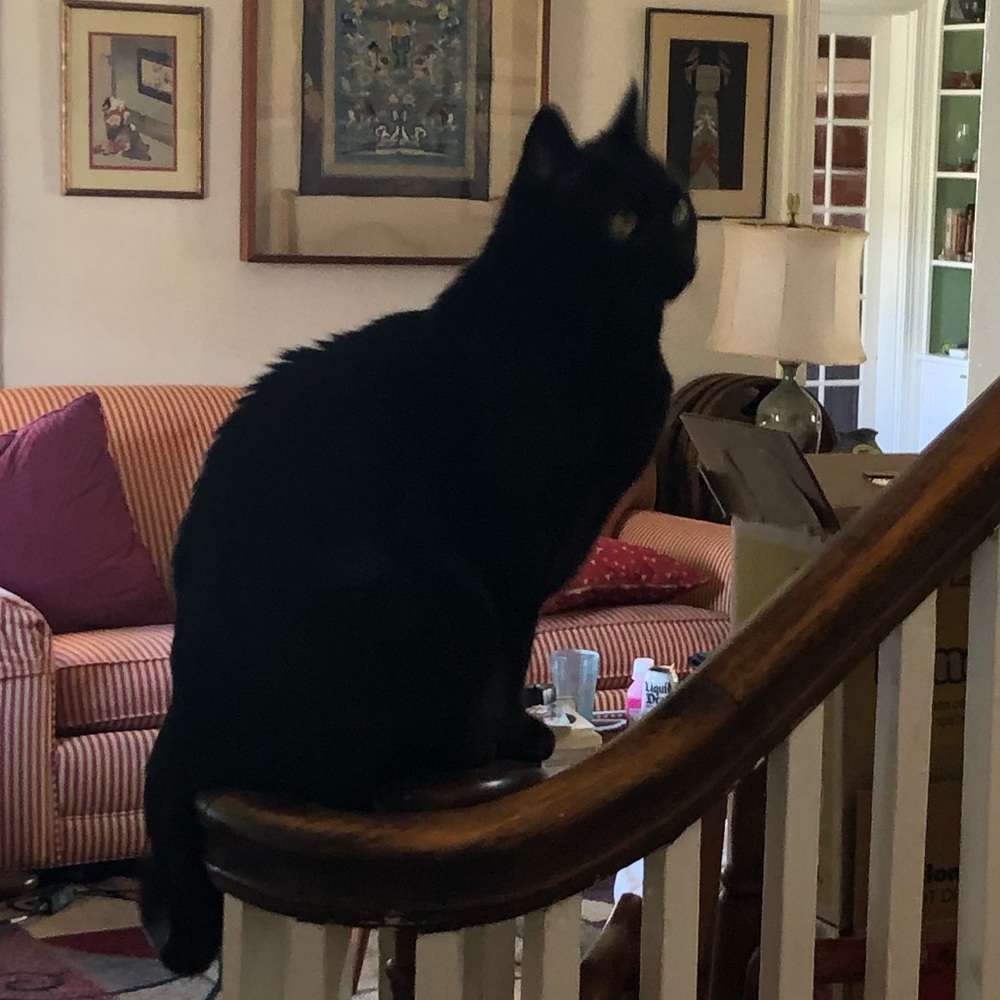 Meet your Posher, Sena